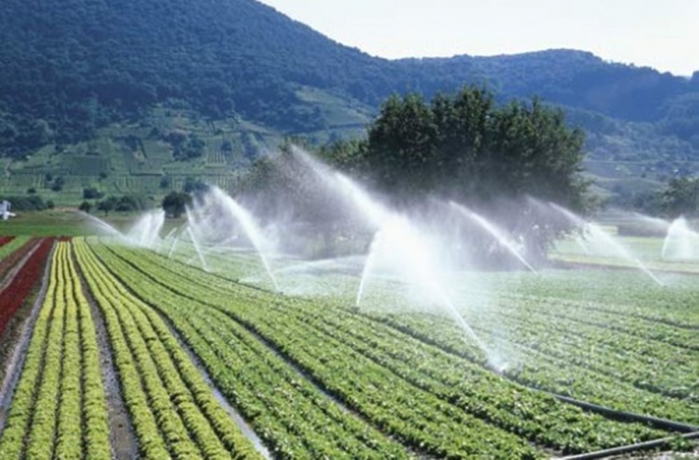 Fermierii au depus 301 de proiecte de irigații pentru finanțare nerambursabilă - fermieriiaudepus301deproiectedei-1562015953.jpg
