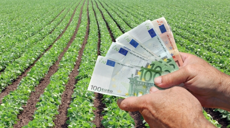 Fermierii au primit 1,767 miliarde euro pentru campania din 2017 - fermieriiauprimit-1517592994.jpg