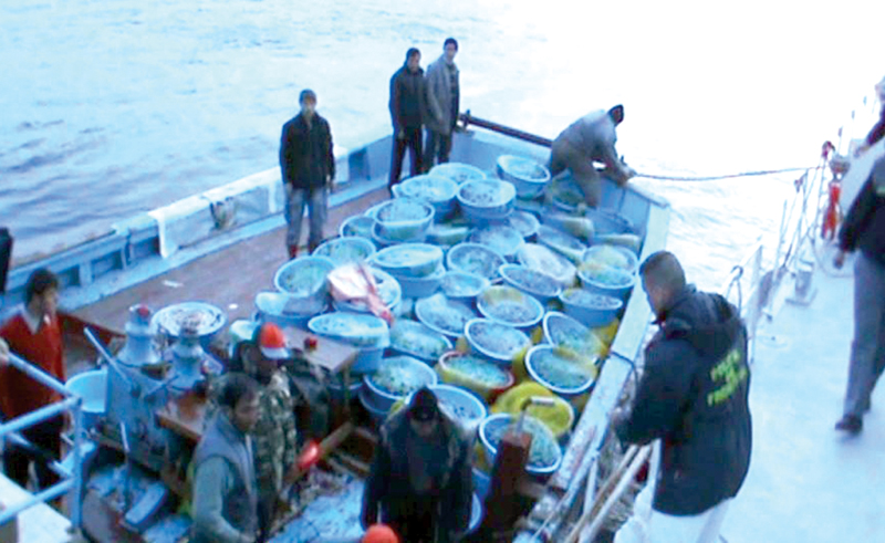 Doi comandanți de nave turcești, trimiși în judecată pentru că au pescuit ilegal în apele teritoriale ale României - ff66de097ebf87e8c61d1bc35825e947.jpg