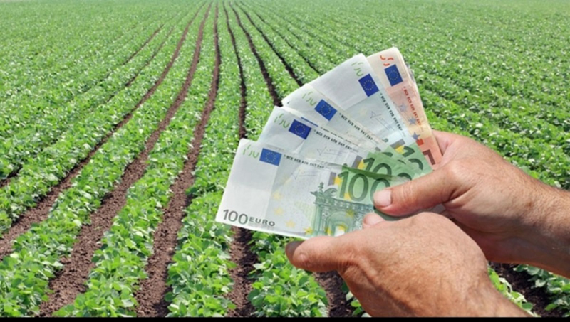 Finanțare de peste 445,8 milioane de euro pentru fermieri - finantaredepeste4458milioanedeeu-1546866222.jpg
