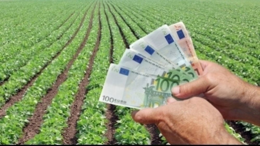 Finanțare de peste 87 de milioane de euro pentru sectorul vegetal - finantaredepeste87demilioanedeeu-1652895677.jpg