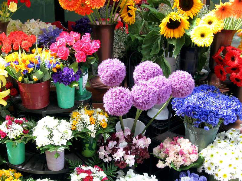 Controale fiscale în comerțul cu flori - flori-1331132699.jpg