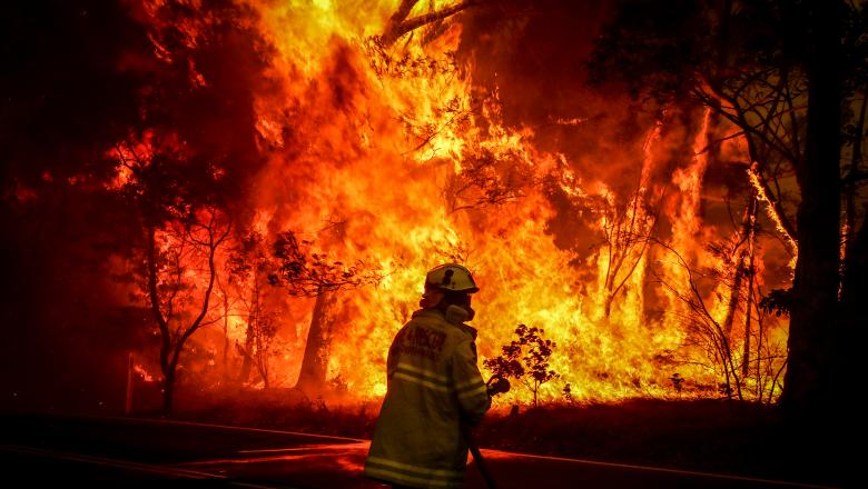 Incendiile de vegetație din Australia au scăpat de sub control, numărul morților a ajuns la 23 - foc-1578128330.jpg