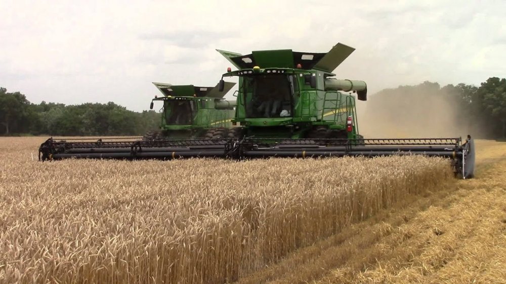 Producția de cereale, distrusă în Europa! Grâul va ajunge nutreț, în mai multe țări - fond-1626626531.jpg
