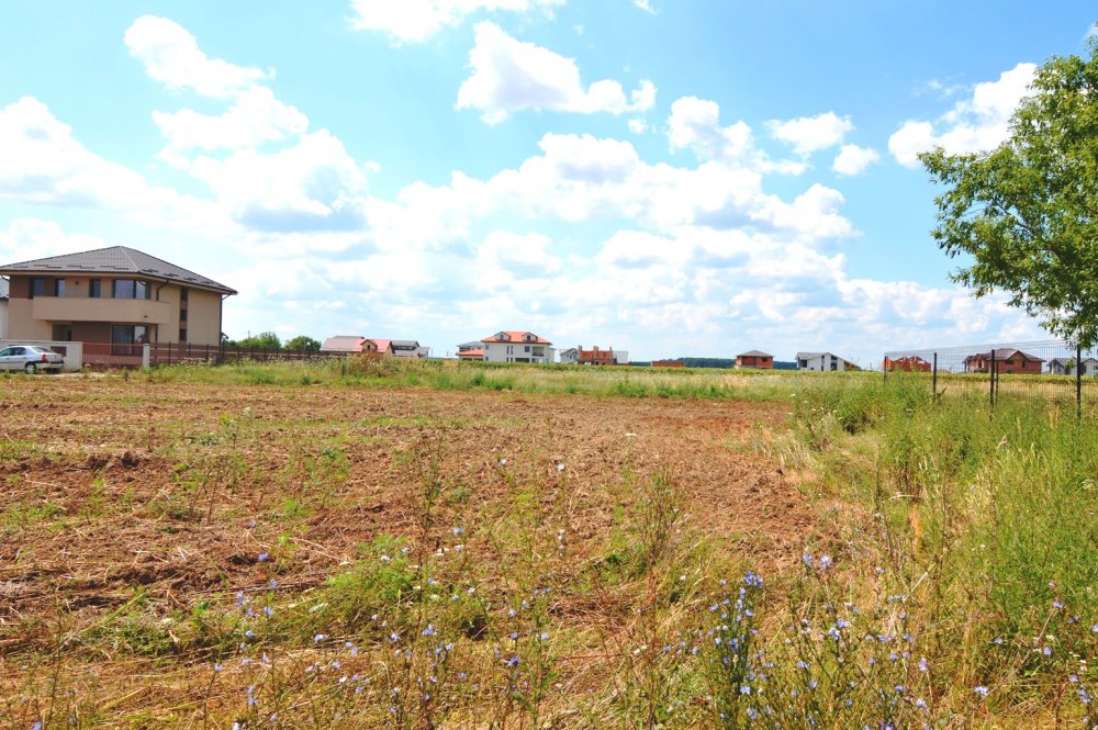 Numărul ofertelor de pe piața terenurilor agricole din județul Constanța e în declin - fondnumarulofertelor3-1665311764.jpg