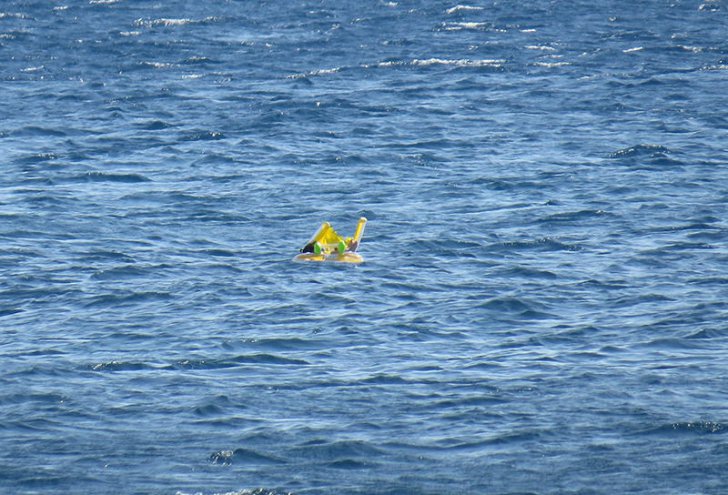 Șocant! Un bebeluș a plutit 1 km pe mare, în timp ce părinții se bronzau - foto-1435933674.jpg