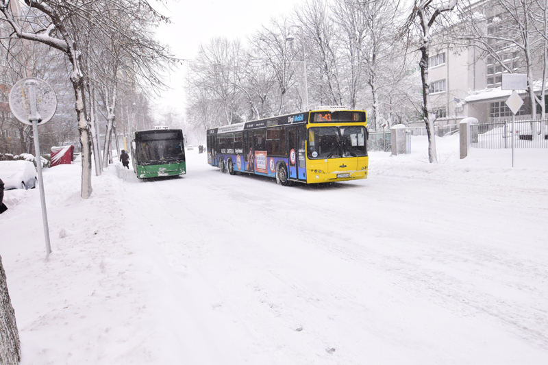 Viscole și temperaturi extreme, iarna aceasta, la Constanța - fotofondiarna2-1510592608.jpg