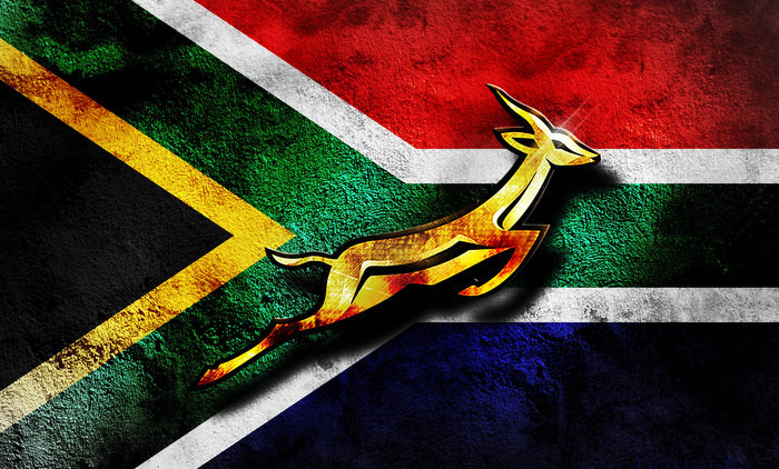 Rugby, FRR / Springboks au câștigat patrulaterul desfășurat în Africa de Sud - frr-1372066906.jpg