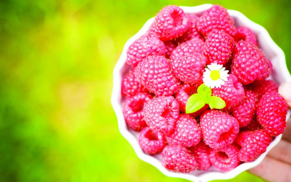 Cura cu fructe de pădure: beneficii pentru sănătate - fructe-1441024310.jpg