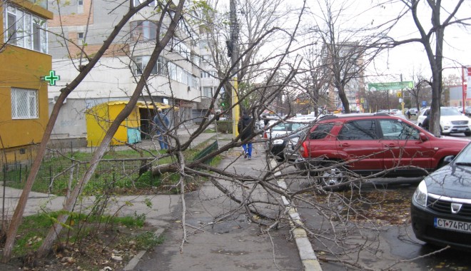 Un copac a căzut peste mașina unui turist, în Olimp - furtunaitc11354520096-1404807524.jpg