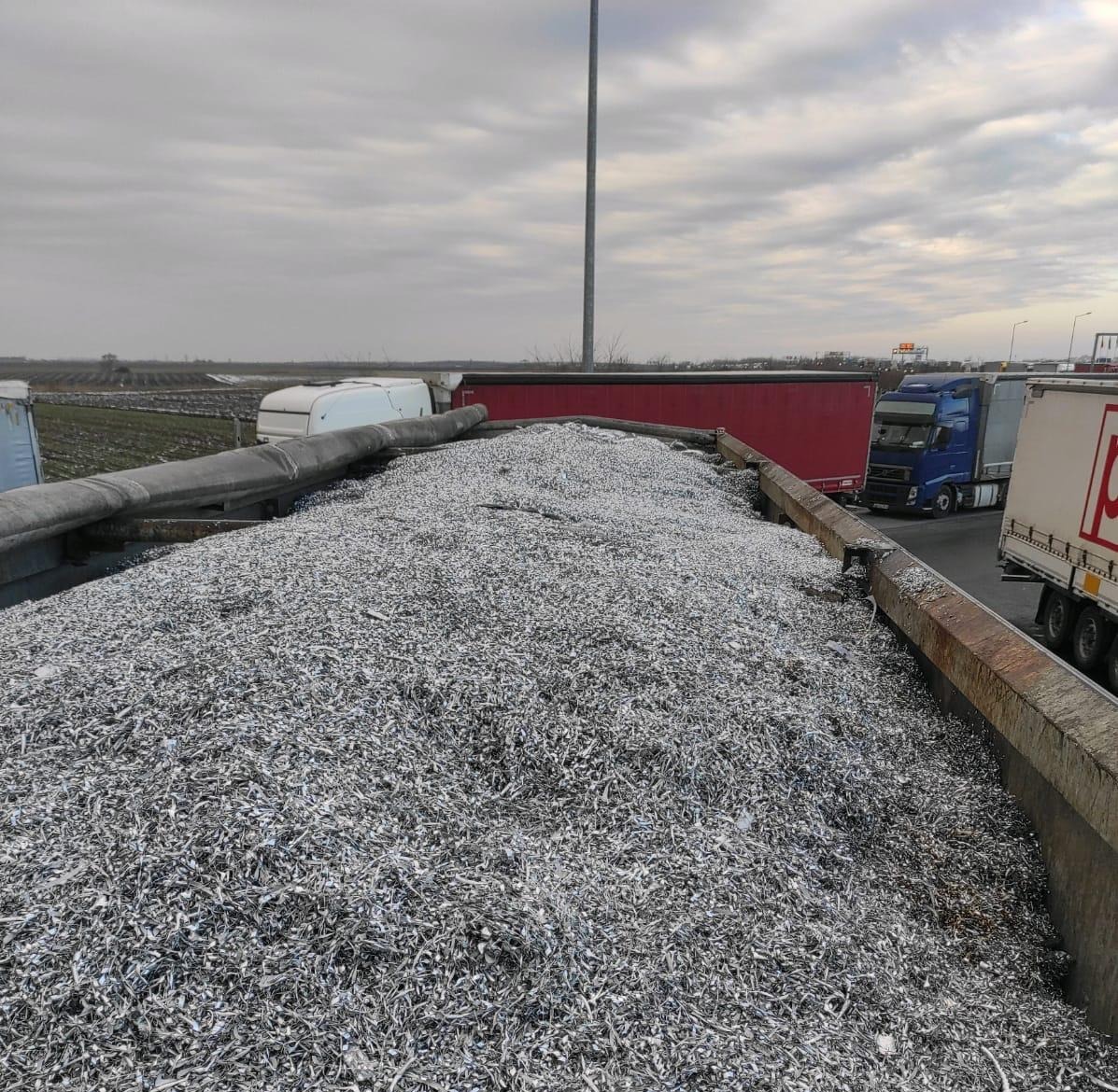 Aproape 100 de tone de deșeuri, respinse la graniță de Garda de Mediu. Comisarii, revoltați - garda-de-mediu-1705233222.jpeg