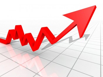 Indicele prețurilor de consum a crescut cu 3,3% în anul 2012 - germania20in20crestere-1357910200.jpg