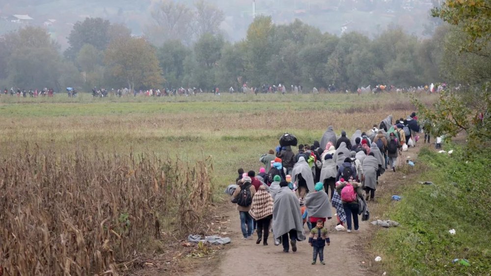 Germania nu va primi refugiaţii de la graniţa cu Belarus - germanianuvaprimirefugiatiidelag-1637068237.jpg