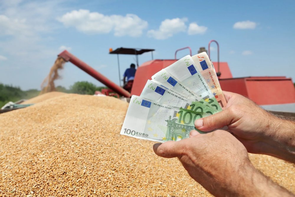Granturi de 350 de milioane de euro pentru agenții economici din domeniul agroalimentar - granturide350demilioanedeeuro-1673182891.jpg