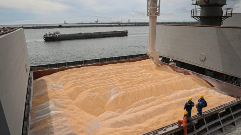 Portul Constanţa riscă o aglomerare excesivă în contextul apropierii recoltei interne de cereale - grau1280x720-1688654074.jpg