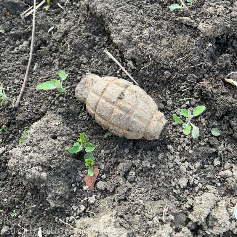 Grenadă descoperită în grădina unei gospodării, în timpul unor lucrări agricole - grenada-1682143769.jpg