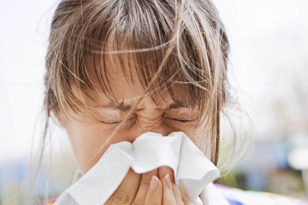 Epidemia de gripă face ravagii în SUA. Luna februarie aduce gripa și în România - gripa-1357891411.jpg