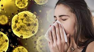 Stare de ALERTĂ epidemică, în Români. Încă trei DECESE la persoane confirmate cu virus gripal A! - gripa-1673369184.jpg
