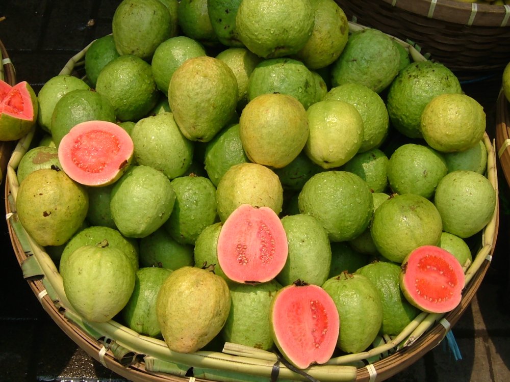Guava - fructul care vă ajută să vă mențineți în formă - guava2-1622745221.jpg