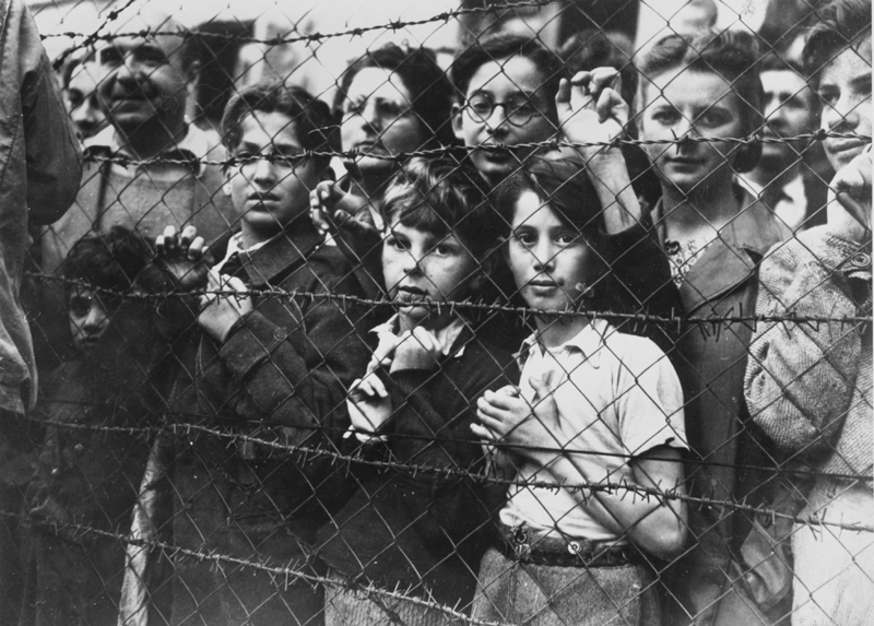 Tragicul Holocaust, preocupare  a elevilor  de la Liceul 