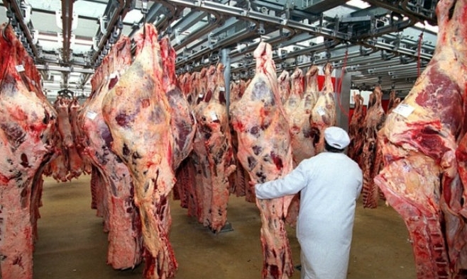 Iată cum a evoluat producția de carne - iatacumaevoluatproductiadecarne1-1499701724.jpg