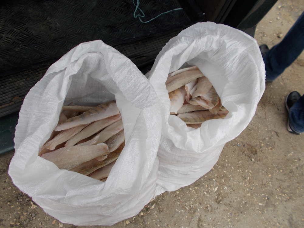 Icre de Manciuria și pește, confiscate în județul Constanța - icresipeste-1381656373.jpg