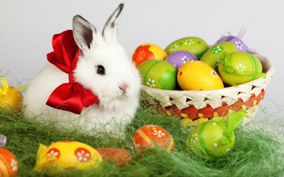 Viorica Dăncilă: Sărbători luminate și binecuvântate credincioșilor care sărbătoresc Paștele și urări de bine pentru Florii - iepure-1555834072.jpg