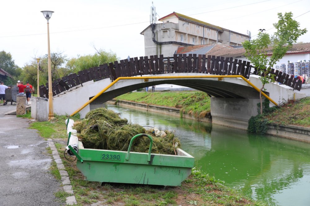 Canalul care face legătura între lacurile Tăbăcărie și Siutghiol a fost igienizat - igienizare-1-1691668980.jpeg
