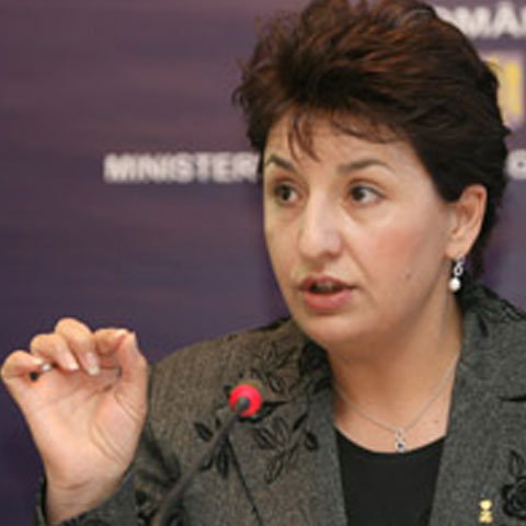 Sulfina Barbu: În cel mult o lună se vor elabora ghiduri cu drepturile românilor în domeniul muncii în țările UE - image1255094009779161001-1317468223.jpg