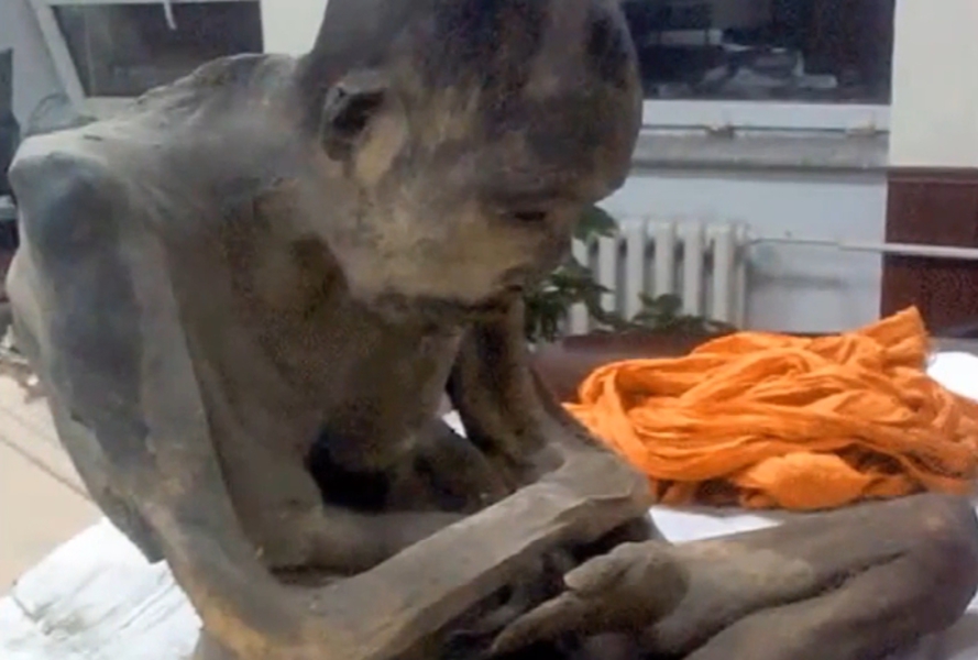 Un călugăr mumificat acum 200 de ani nu ar fi mort, ci într-o stare de meditație profundă - image20150251929664070calugarmum-1423209234.jpg