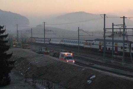 Accident feroviar în Elveția! Mai mulți răniți în urma coliziunii între două trenuri - imageresize-1424419487.jpg