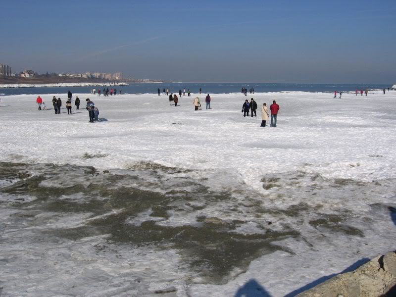 ISU Dobrogea atrage atenția amatorilor de plimbări de suprafețe de apă înghețate - img0101-1328112740.jpg