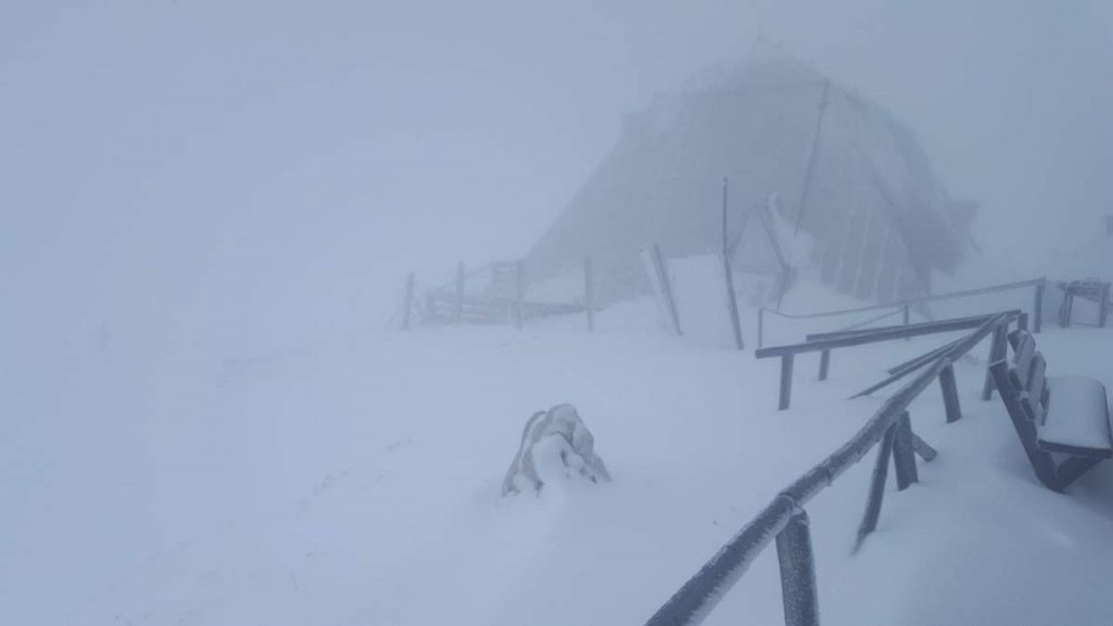 Ninge de ore bune pe Transfăgărășan! Stratul de zăpadă depășește deja 10 centimetri - img1-1574327976.jpg