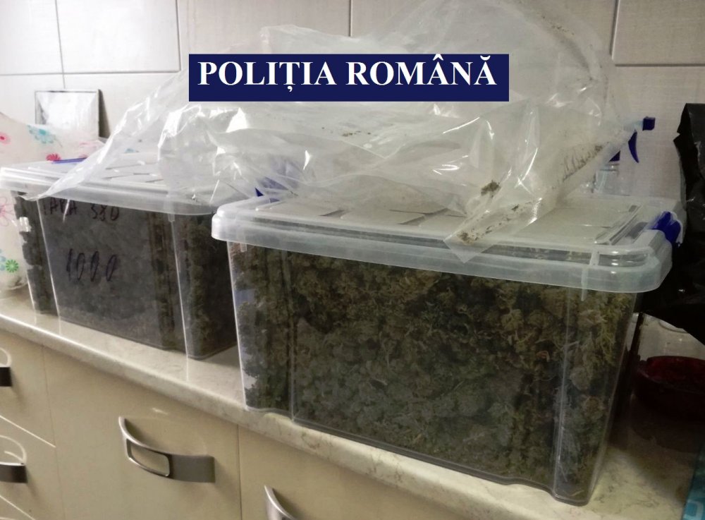 PERCHEZIȚII LA CONSTANȚA! 7,5 kilograme de cannabis, ridicate în urma unui flagrant - img20180217wa0021-1519300592.jpg