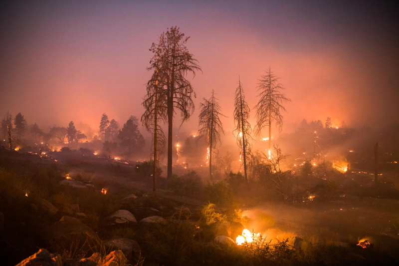 Incendiu în SUA: 42 de morți,  bilanțul cel mai grav din istoria Californiei - incediucalifornia-1542117464.jpg