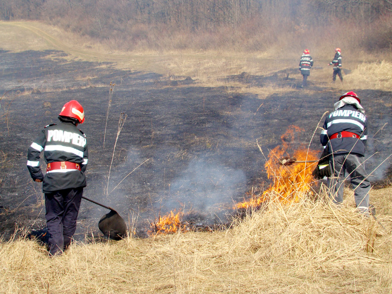 Incendierea miriștilor îi lasă pe fermieri fără subvenții - incendiereamiristilor-1406738776.jpg