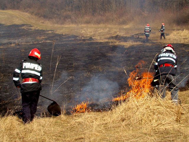 Incendiu de vegetație uscată în Pasul Prislop, la 1.500 metri altitudine - incendii-1374849453.jpg