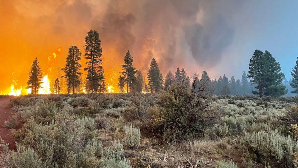 Incendiile masive fac prăpăd în statul american Oregon - incendiicalifornia-1626782040.jpg