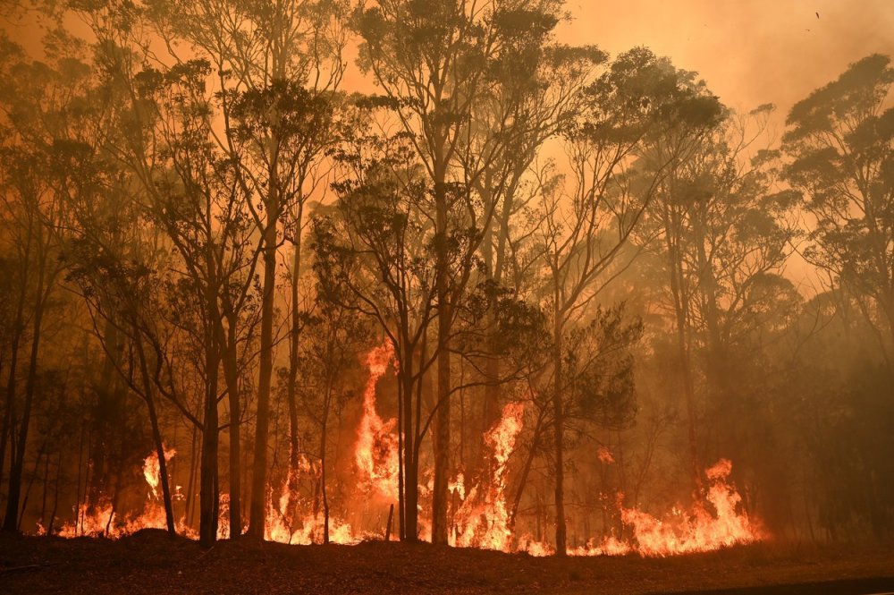 Incendiile de pădure devastează statul american New Mexico - incendiipaduri-1650884684.jpg