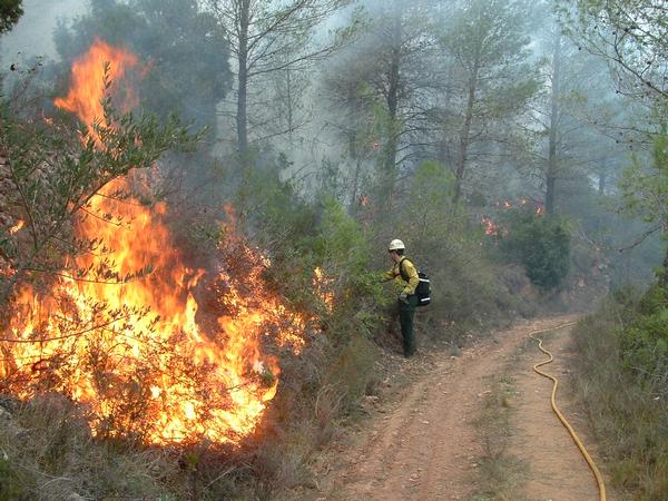 Incendii de pădure în Catalunia - incendiu-1311195580.jpg