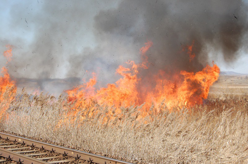 Ieri, peste 600 de hectare din țară au fost afectate de incendii - incendiu-1345805158.jpg