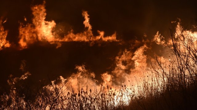 Incendiu de vegetaţie în Delta Dunării, în apropiere de Sulina. Pompierii au intervenit rapid - incendiu-1666794399.jpg