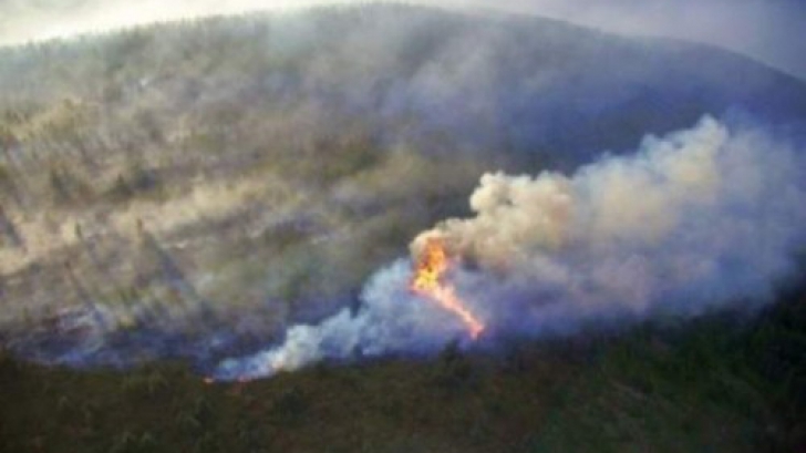 Incendiile au cuprins România. Peste 170 de hectare de vegetație uscată au fost afectate - incendiu19747100-1343132877.jpg