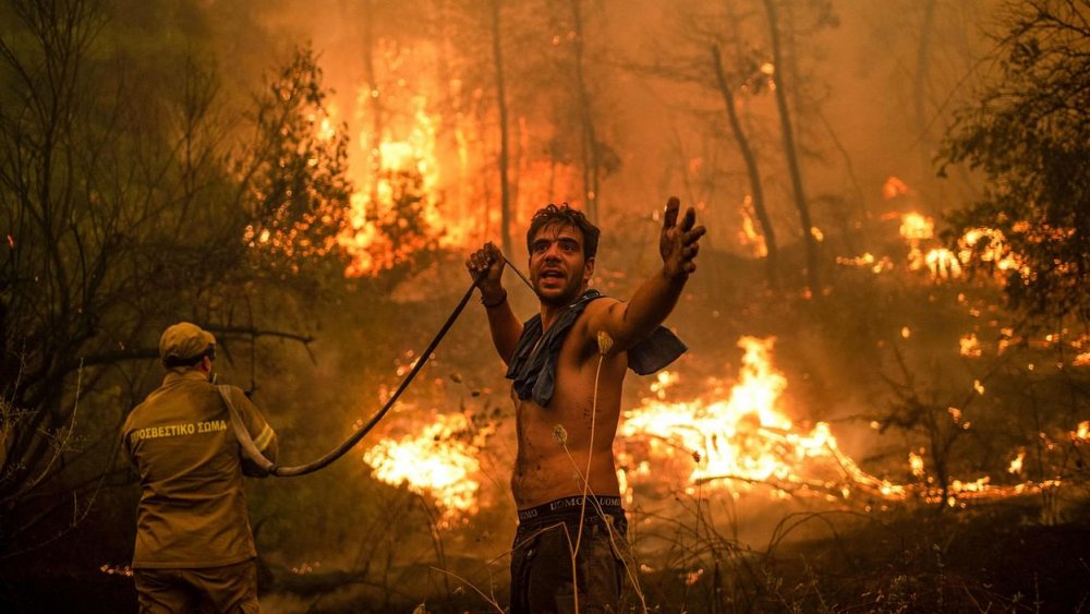 Peste 10.000 de hectare dintr-un parc național din Algeria, distruse de flăcări - incendiualgeria-1661084668.jpg