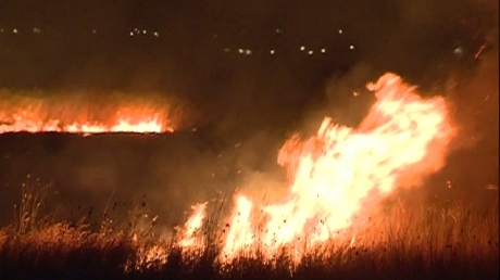Anchetă la Constanța după incendiul devastator din Delta Dunării VIDEO - incendiudeltadunarii81525500-1313993861.jpg