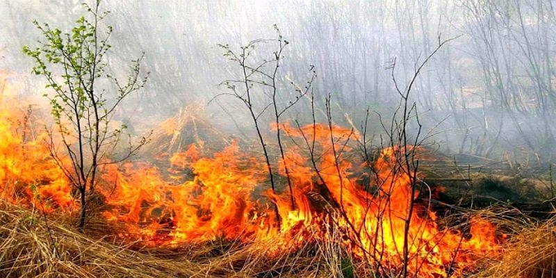 DEZASTRU LA HÂRȘOVA! Ard hectare de vegetație uscată! Pompierii sunt chemați de acasă! - incendiuincendiivegetatie0542970-1553597591.jpg