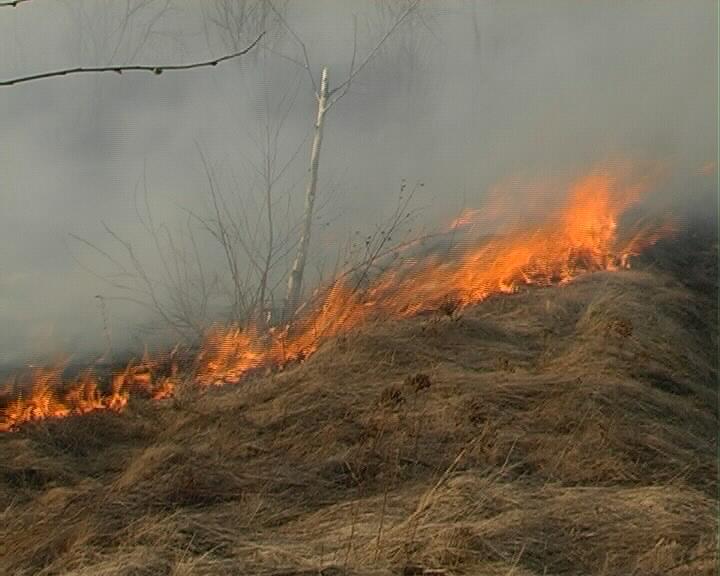 Un incendiu de vegetație îngreunează circulația rutieră în apropiere de Poarta Albă - incendiumiriste-1317995488.jpg