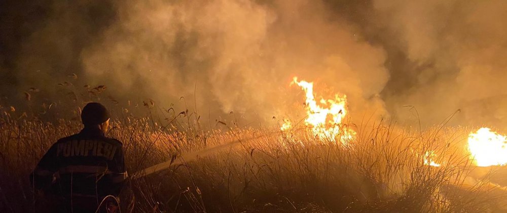 Incendiu uriaș la Grindul Lupilor. Au ars 300 de hectare de stuf și vegetație - incendiuurias-1584518336.jpg