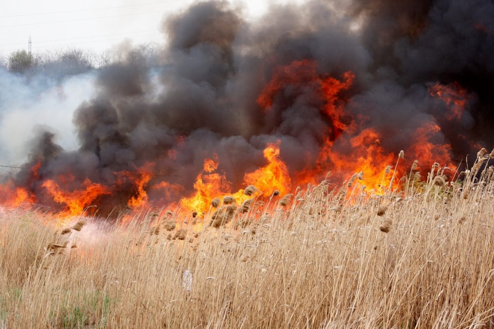 76 de pompieri, în alertă să apere casele oamenilor, după ce opt incendii au mistuit zeci de hectare de vegetație - incendiuvegetatie-1645340472.jpg