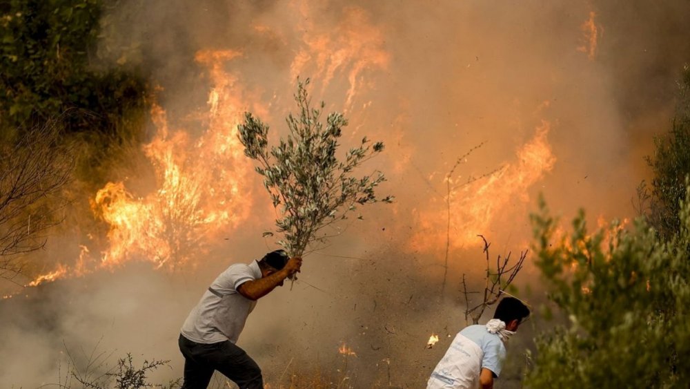 Un incendiu de vegetaţie din sud-vestul Turciei, alimentat de vânt şi temperaturile ridicate - incendiuvegetatie-1656250776.jpg